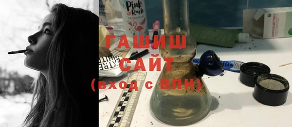 крисы Корсаков