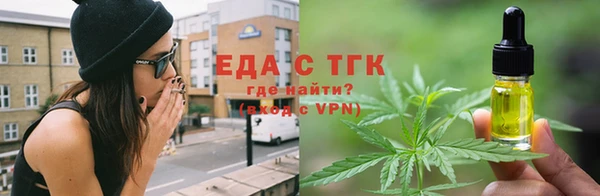 крисы Корсаков