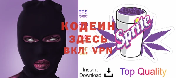 крисы Корсаков