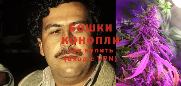 крисы Корсаков
