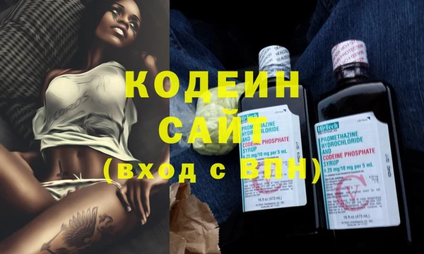 крисы Корсаков
