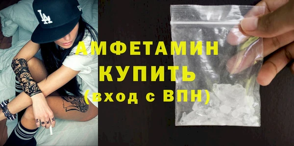 крисы Корсаков