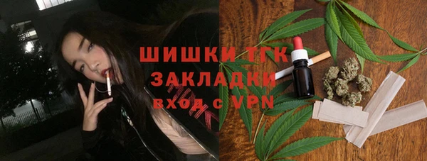 крисы Корсаков